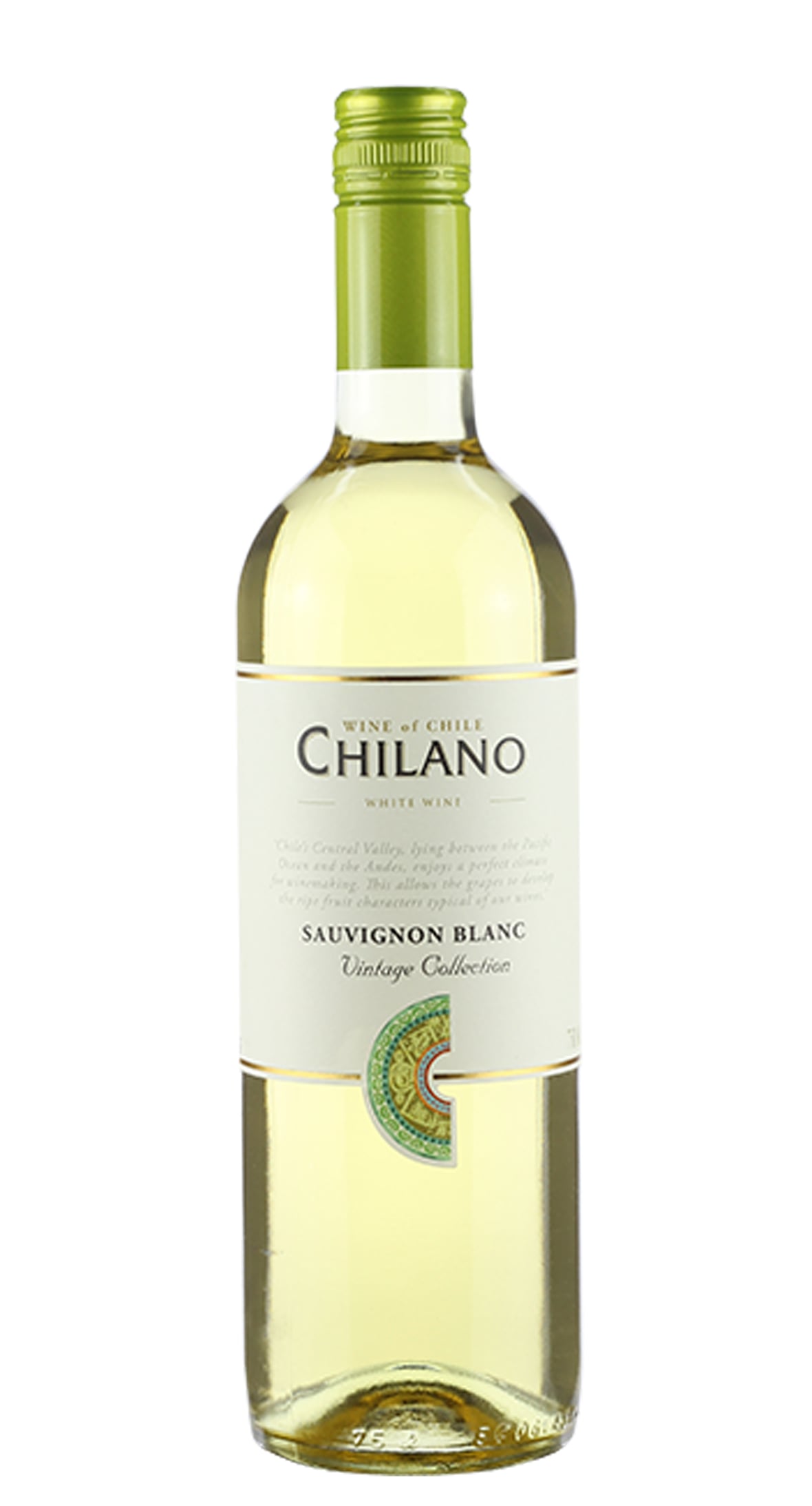 VH CHI CHILANO SAUVIGNON BLANC