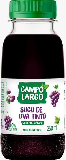 SUCO CAMPO LARGO UVA PET 12X250ML